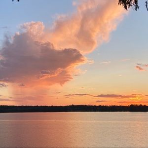 Meet your Posher, Lexi